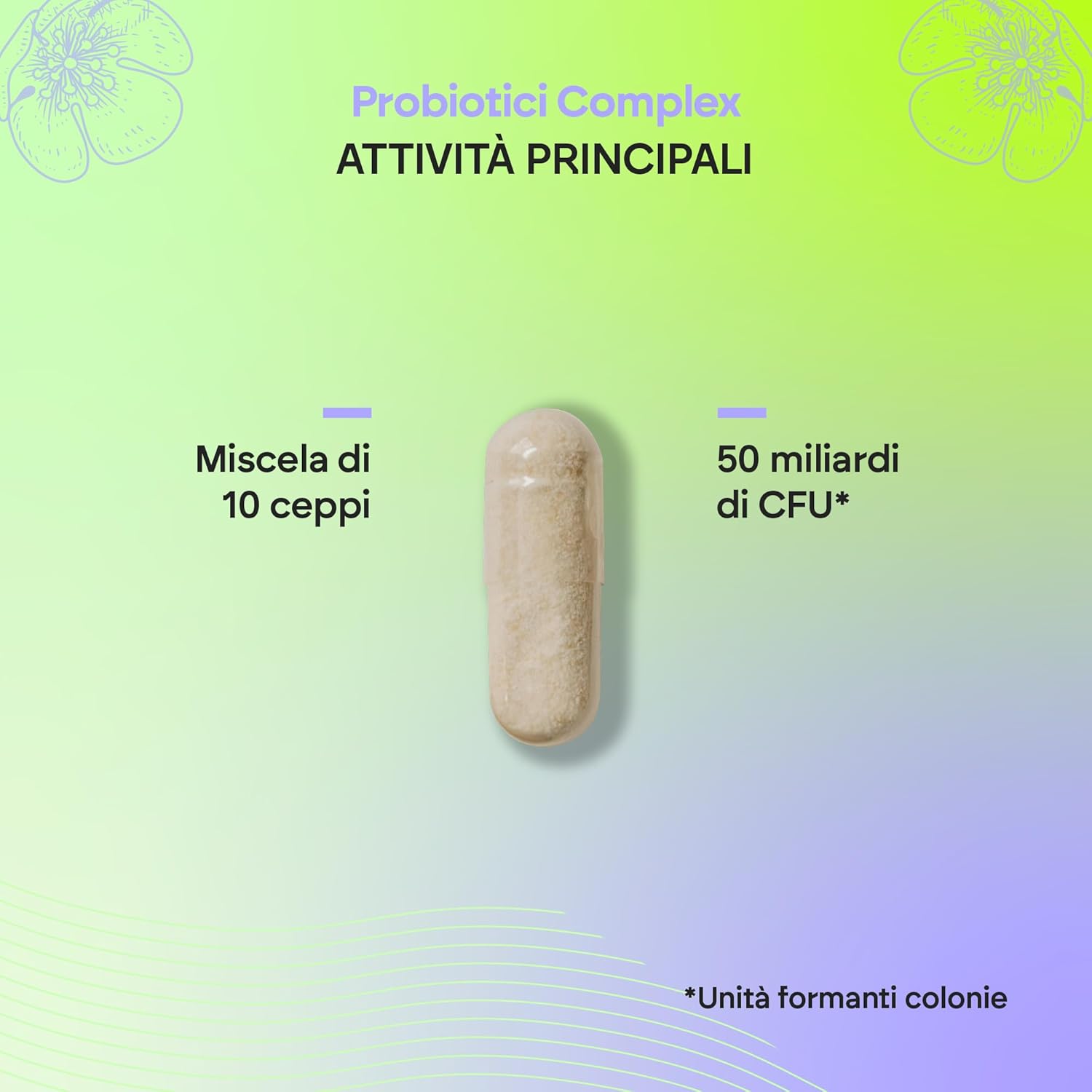 Probiotic Lactic Ferments 10Strains - 50 Billion UFC 5 61ya3XPkAuL. AC SL1500 -