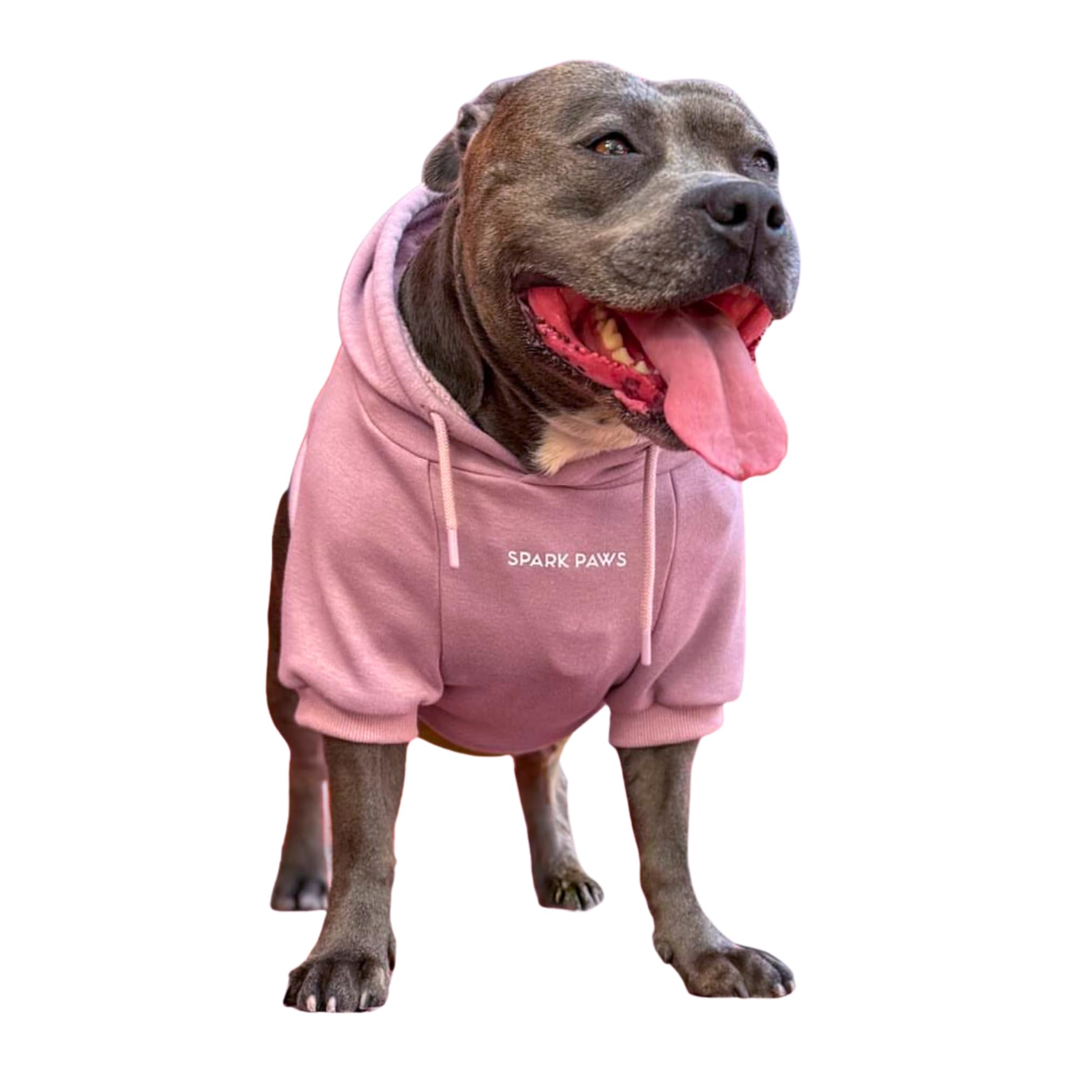 Spark Paws Dog Hoodie - Buttery-Soft Sweater Sweatshirt, Clothes for Puppy