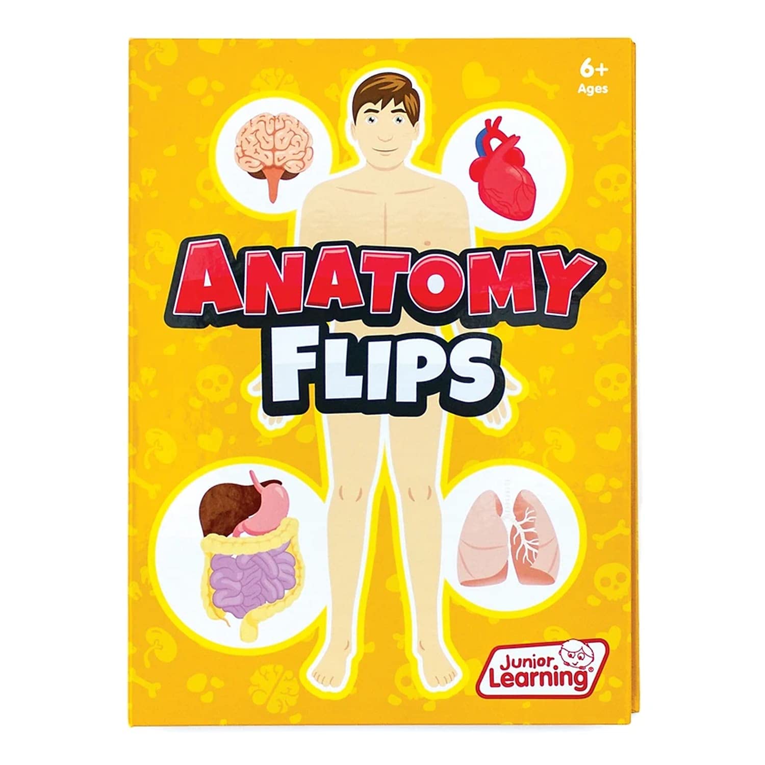 Junior Learning JL647 Anatomy Flips, Multi