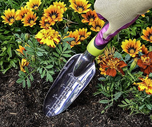 Edward Tools transplanter trowel with narrow aluminum blade and comfort handle