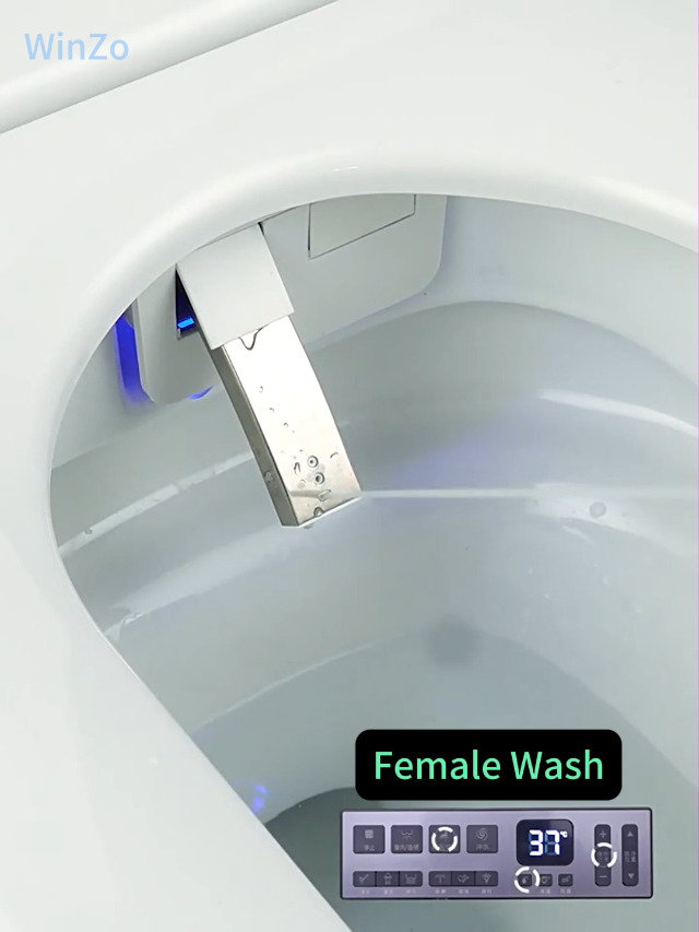 WinZo inodoro inteligente gris con bidé integrado, asiento calefaccionado, sin tanque, autoflush automático, agua tibia instantánea, secador, luz nocturna y pantalla digital para baño, acabado mate gris miniatura 7
