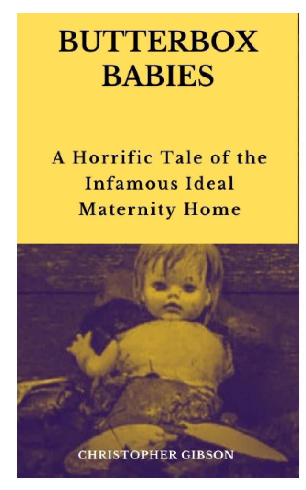 Buy Butterbox Babies A Horrific Tale of the Infamous Ideal Maternity