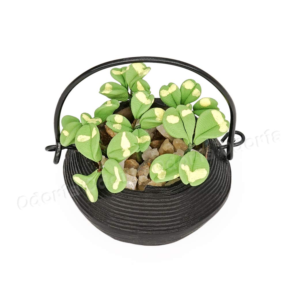 View 3