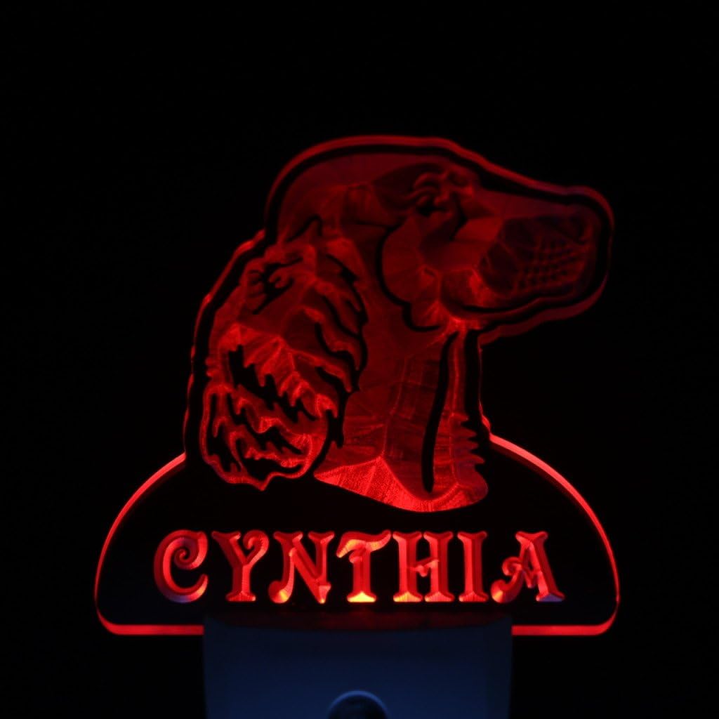 ADVPRO ws1072-tm Irish Setter Dog Personalized Night Light Name Day/Night Sensor LED Sign
