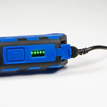 DieHard 41-6643 450-Lumen Folding Rechargeable COB LED Flex Work Light