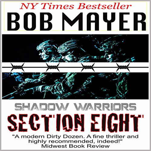 Cover art for Section Eight (Shadow Warriors)