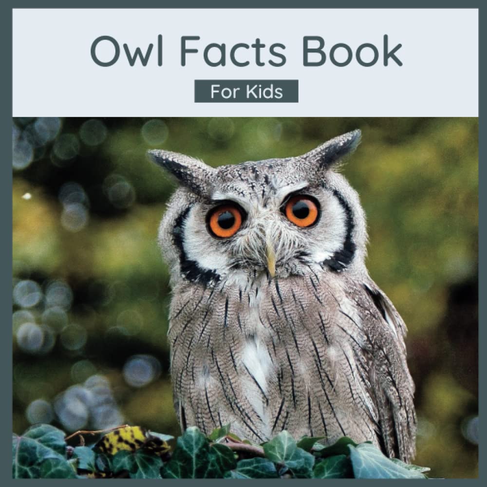 Owl Facts Book For Kids Owl Children's Book Amazon.co.uk Wells