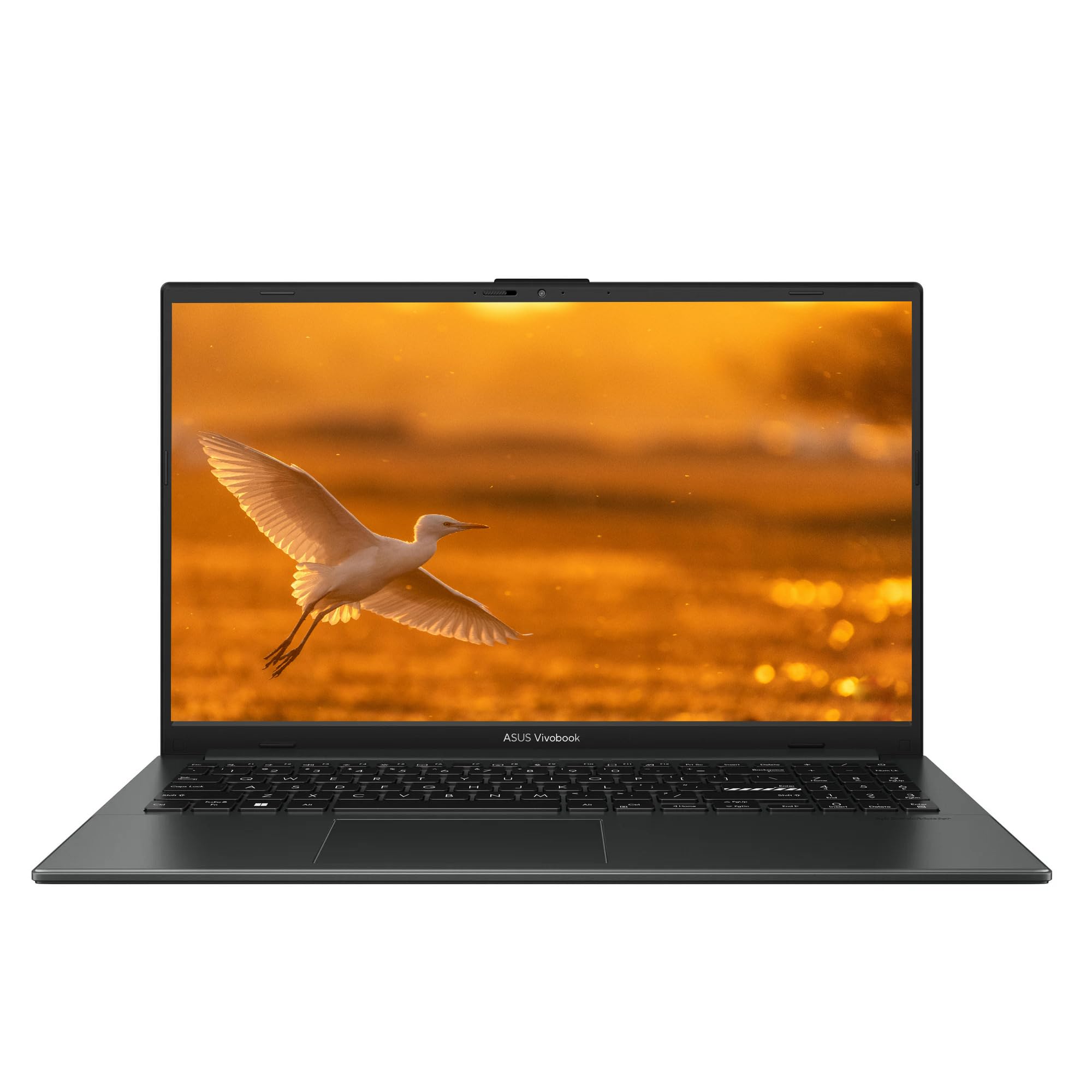 Amazon.com: ASUS 2025 Lightweight Laptop, 15