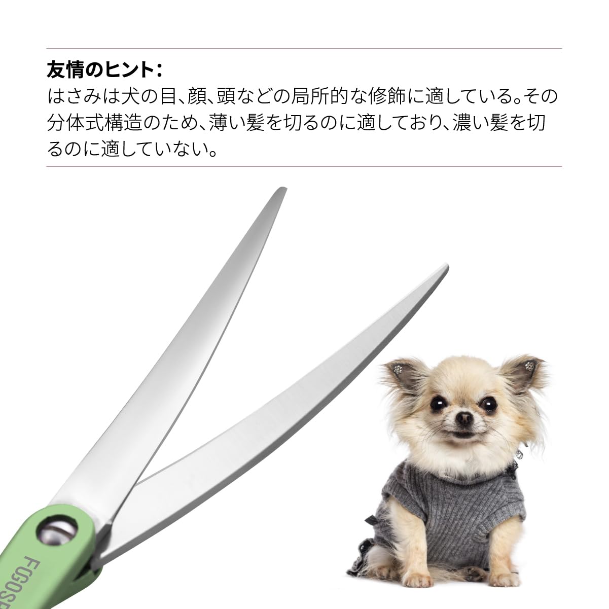 Amazon.co.jp: FOGOSP 6インチ 犬用グルーミングはさみ ペットはさみ