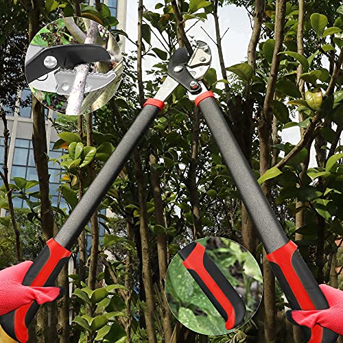 Gartol Anvil Lopper With Compound Action Branch Cutter, 29.5 Inch Tree Trimmer With 2 Inch Clean Cut Capacity, Cut Through Thick Branches Easy #TOP4