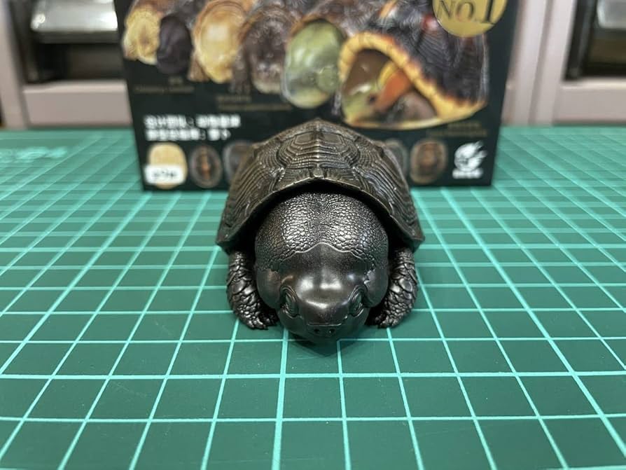 【動物の惑星】秘蔵品放出★オオアタマガメ★初期生産!!入手困難 Amazon.co.jp: 入手困難 激レア 巨頭 オオアタマクサガメ