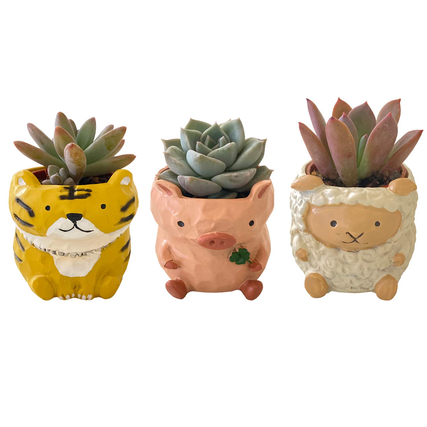 人気❣️ウサギ フクロウ 多肉植物 セット ガーデニンググッズ マスコット Amazon.co.jp: Okllen ミニアニマルセラミック多肉植物