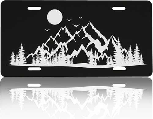 Miniatura 10 de Cubierta de placa frontal – Accesorio de metal para auto de aluminio, etiqueta de tocador novedosa resistente al óxido para hombres y mujeres, 6x12