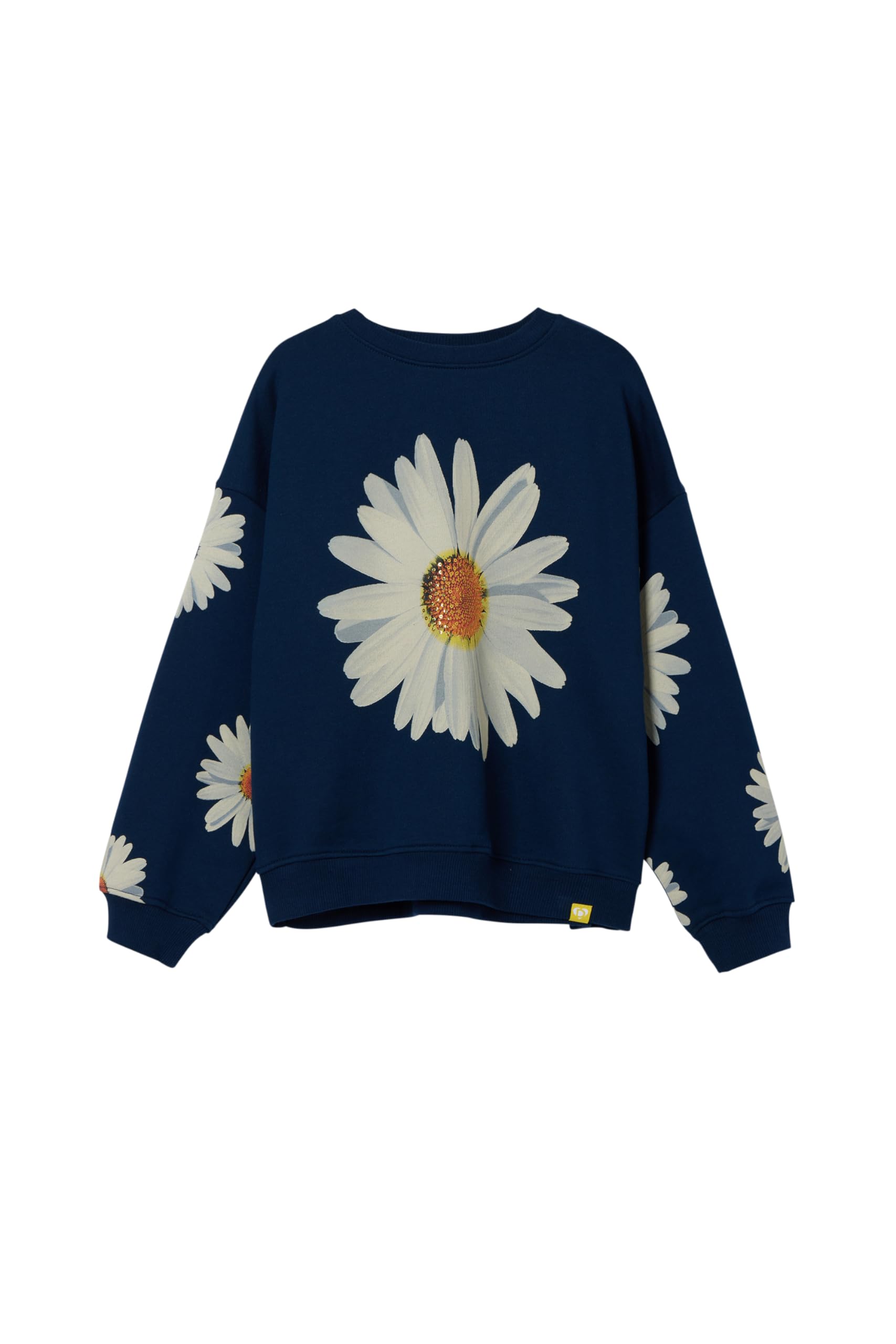 Desigual Sweat_Cailin, 5001 Marino, S