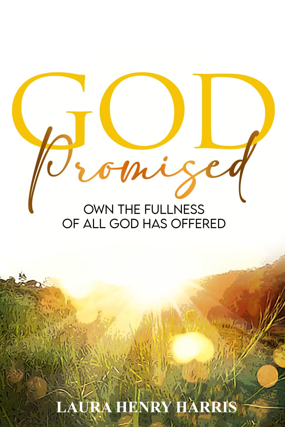 God Promised: Own the Fullness of All God Has Offered