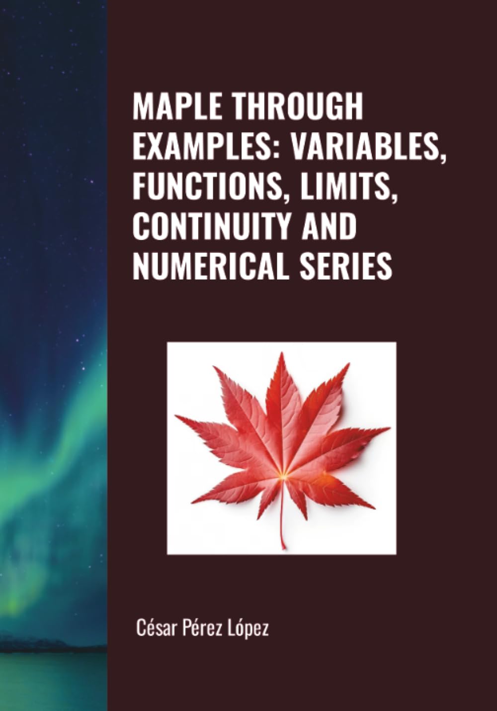 MAPLE THROUGH EXAMPLES: VARIABLES, FUNCTIONS, LIMITS, CONTINUITY AND NUMERICAL SERIES
