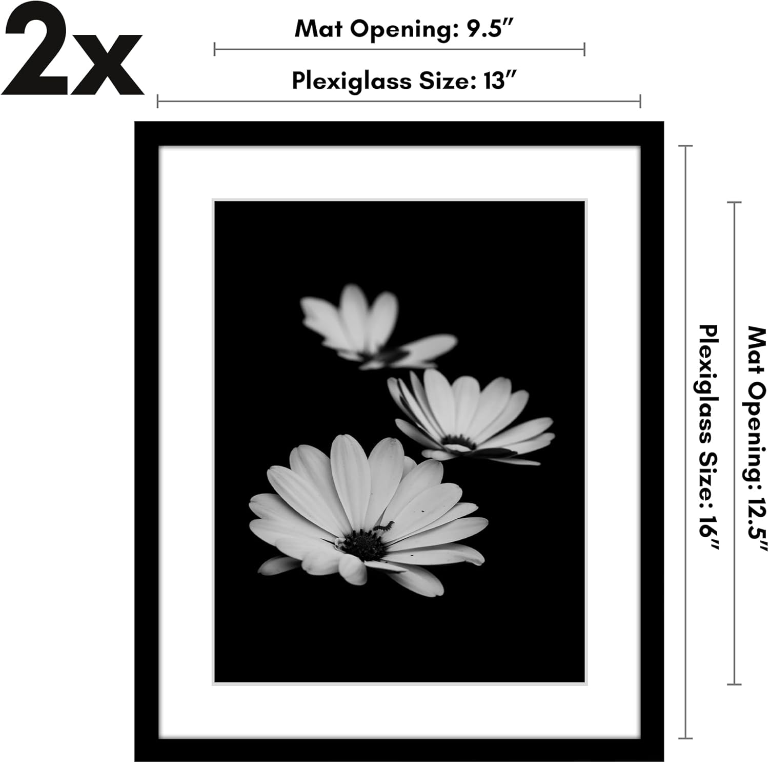 Americanflat 13x16 Picture Frame with Polished Plexiglass - Set of 2 - Use as 10x13 Frame with Mat or Display 13x16 Photo Without Mat - Galleria Collection - Picture Frames for Wall Display - Black