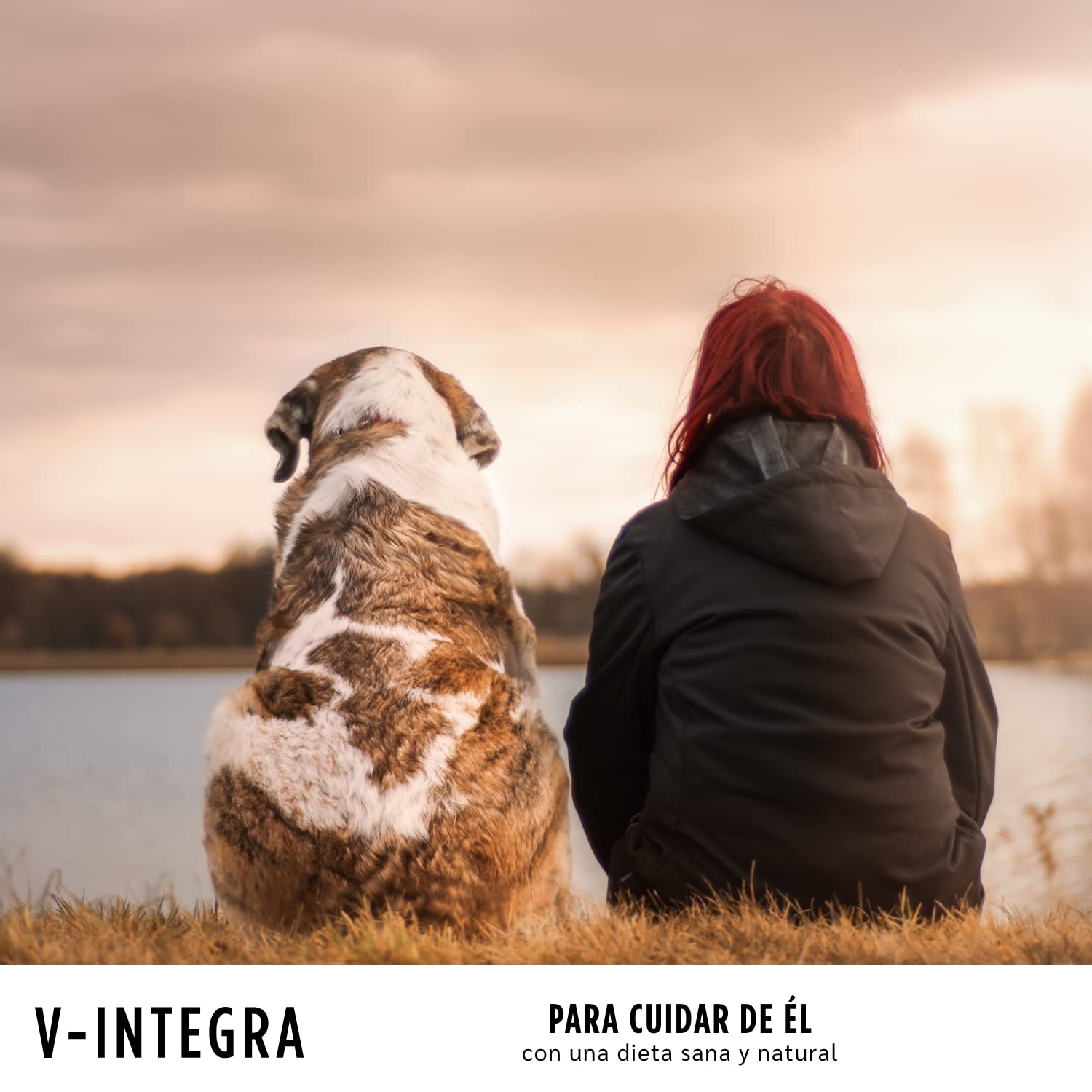 V INTEGRA Perro Anciano 200g, Suplemento Completo Rico en Vitaminas y Minerales para Equilibrar Dieta Casera y Barf, V Integra Vitaminas para Perros, Suplementos para Perros Made in Italy