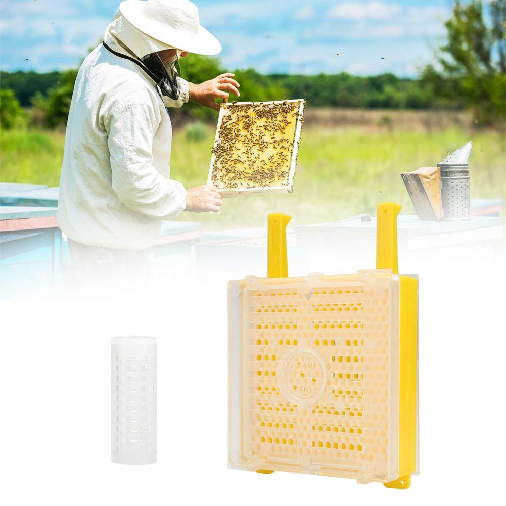 Kit per Allevamento di api, Kit per Allevamento di api in plastica Set per Allevamento di api in plastica Accessori per Attrezzi per l'apicoltura di Bottiglie per marcatura di Gabbie