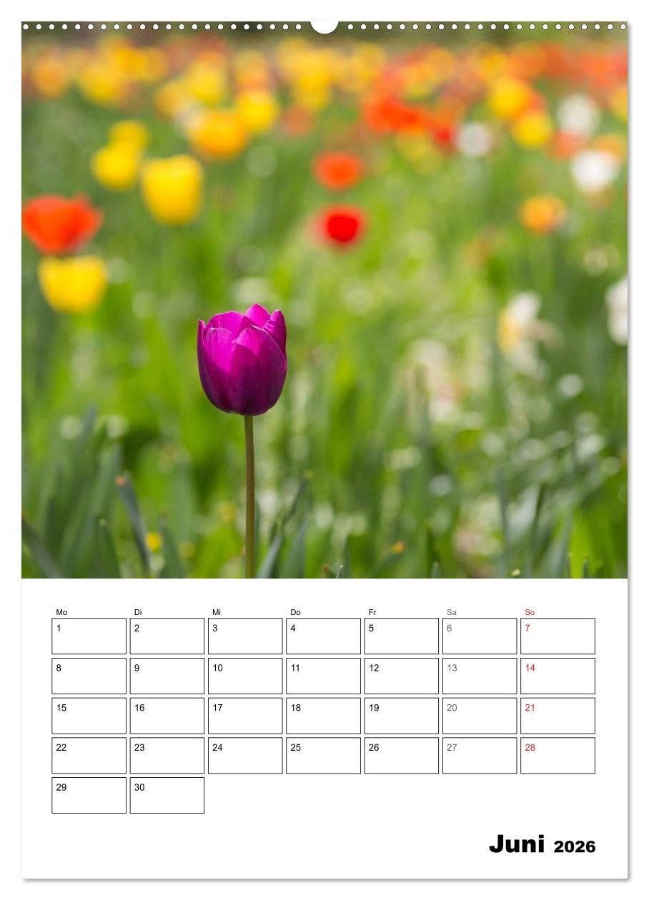 Farben der Natur (hochwertiger Premium Wandkalender 2026 DIN A2 hoch), Kunstdruck in Hochglanz: Farben für die Seele! Jede Farbe hat eine Wirkung und ... Gefühle und unsere Stimmung. (CALVENDO Natur)