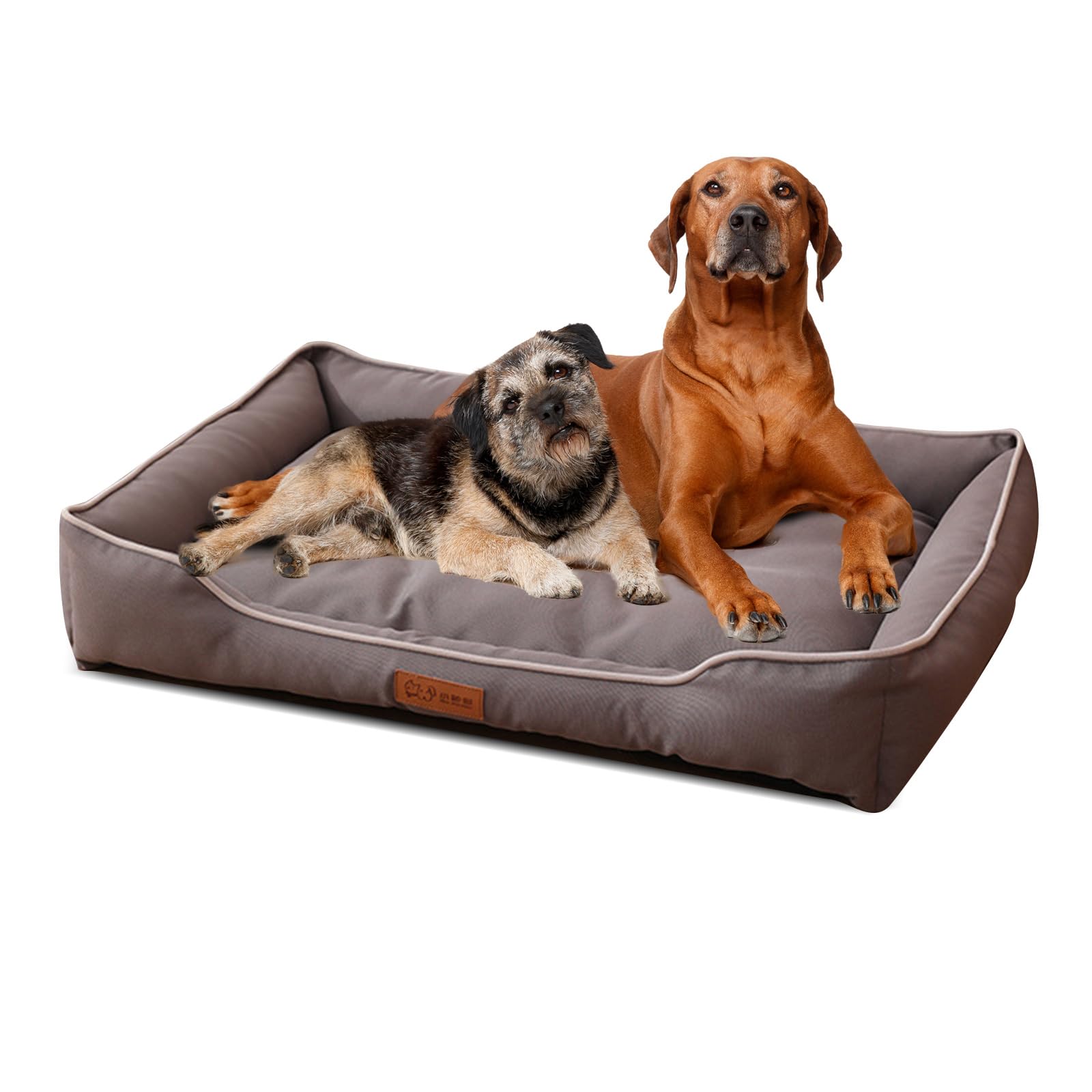 PETCUTE Cuccia per Cani in Tessuto Oxford, Morbido Letto per Animali Domestici Rettangolare,Cuccia Cane Interno con Base Antiscivolo,Cuscino Cane Impermeabile e Lavabile,Letto Divano per Cani