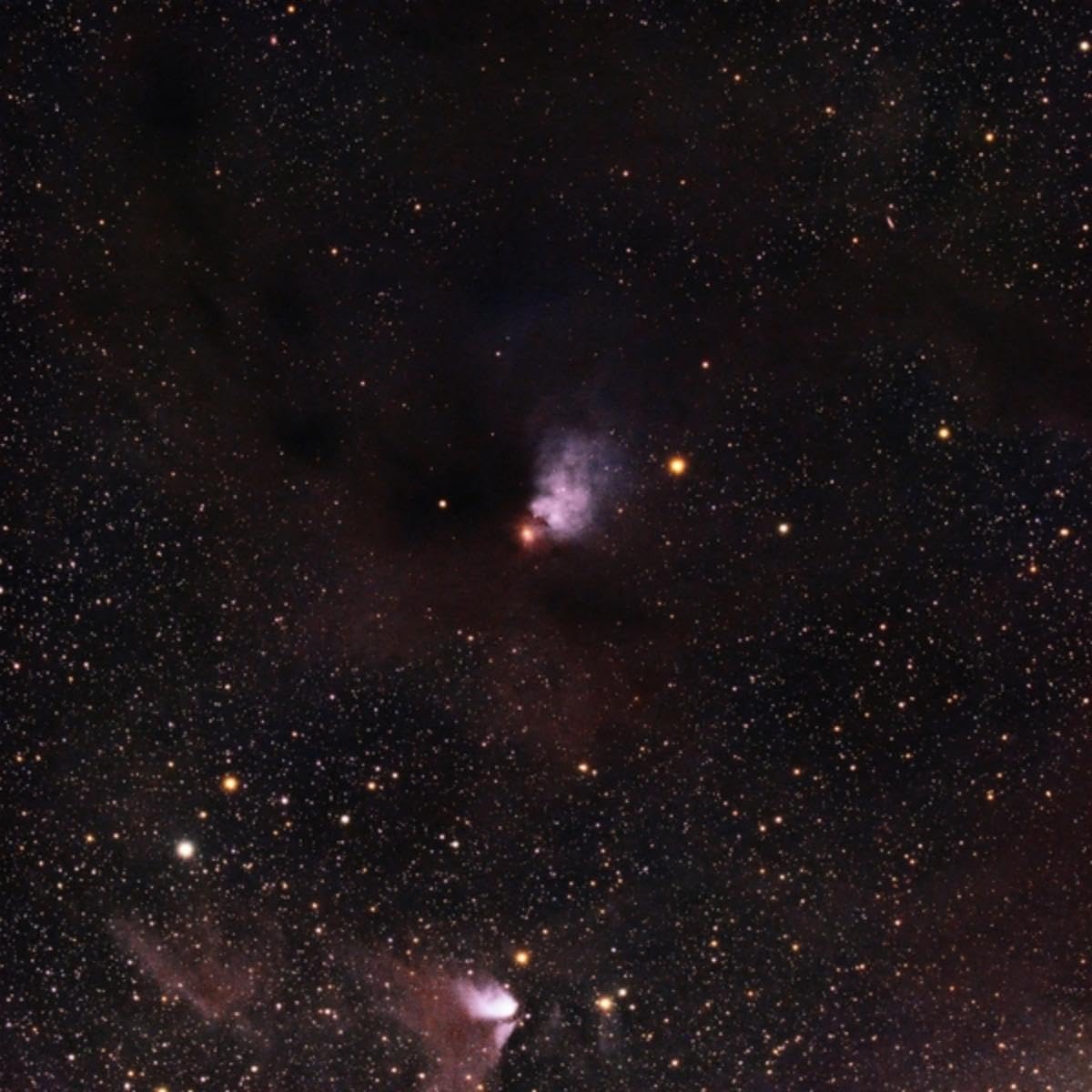 Emdr Reframe & Restore