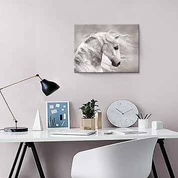 Hardy Gallery Horse Canvas Wall Art Equestrian Decor 16x12 Inch