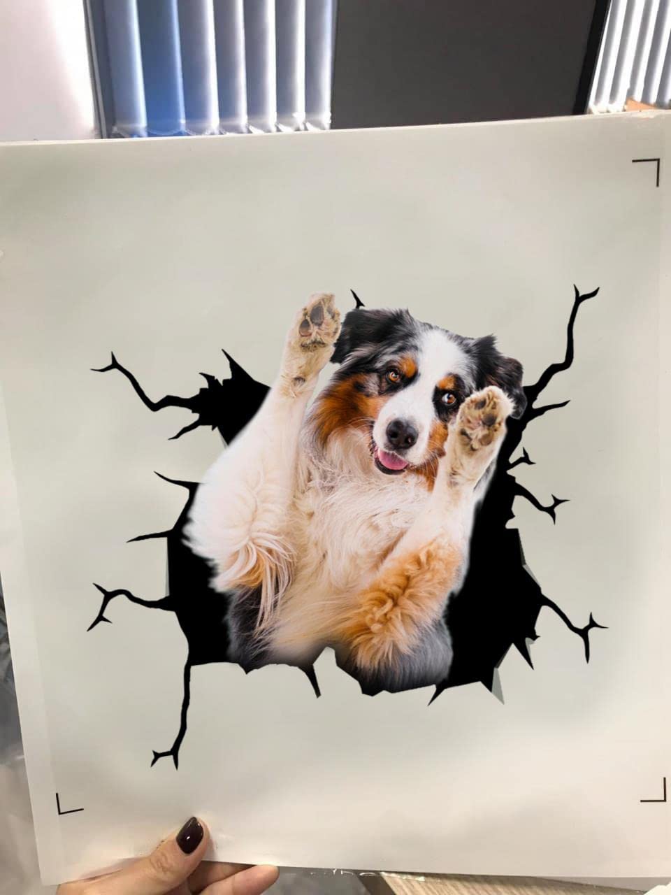 Adesivo per finestrino auto con scritta Australian Shepherd on Board - V05 - Italia
