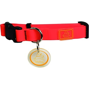 boxer bullmastiff puppies for sale