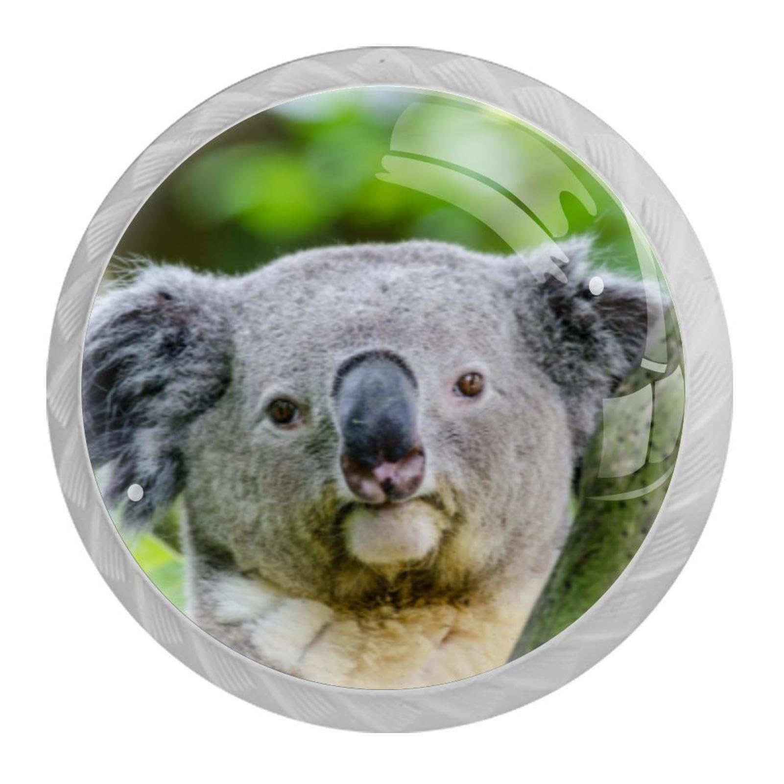 Tqmspg 4 Pieces Drawer Pulls Cute Koala Door Knobs Dresser Handles for Kitchen Wardrobe Cupboard Hardware Furniture