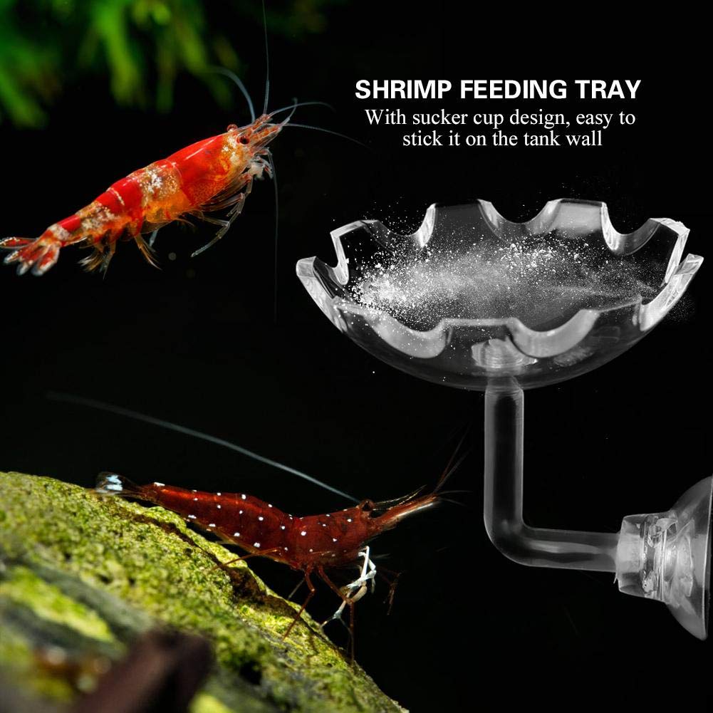 Shrimp Futternapf Acryl Sucker Cup Design Aquarium Bowl Tray Wasser Lebensmittel Kleiner Reptil Würmer Haustiere Dish Feeder Bowl