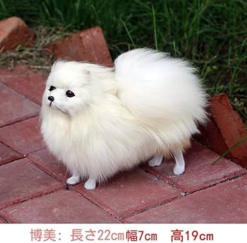 オオイケ 犬 ポメラニアン ぬいぐるみ Amazon.co.jp: QmjdDymx
