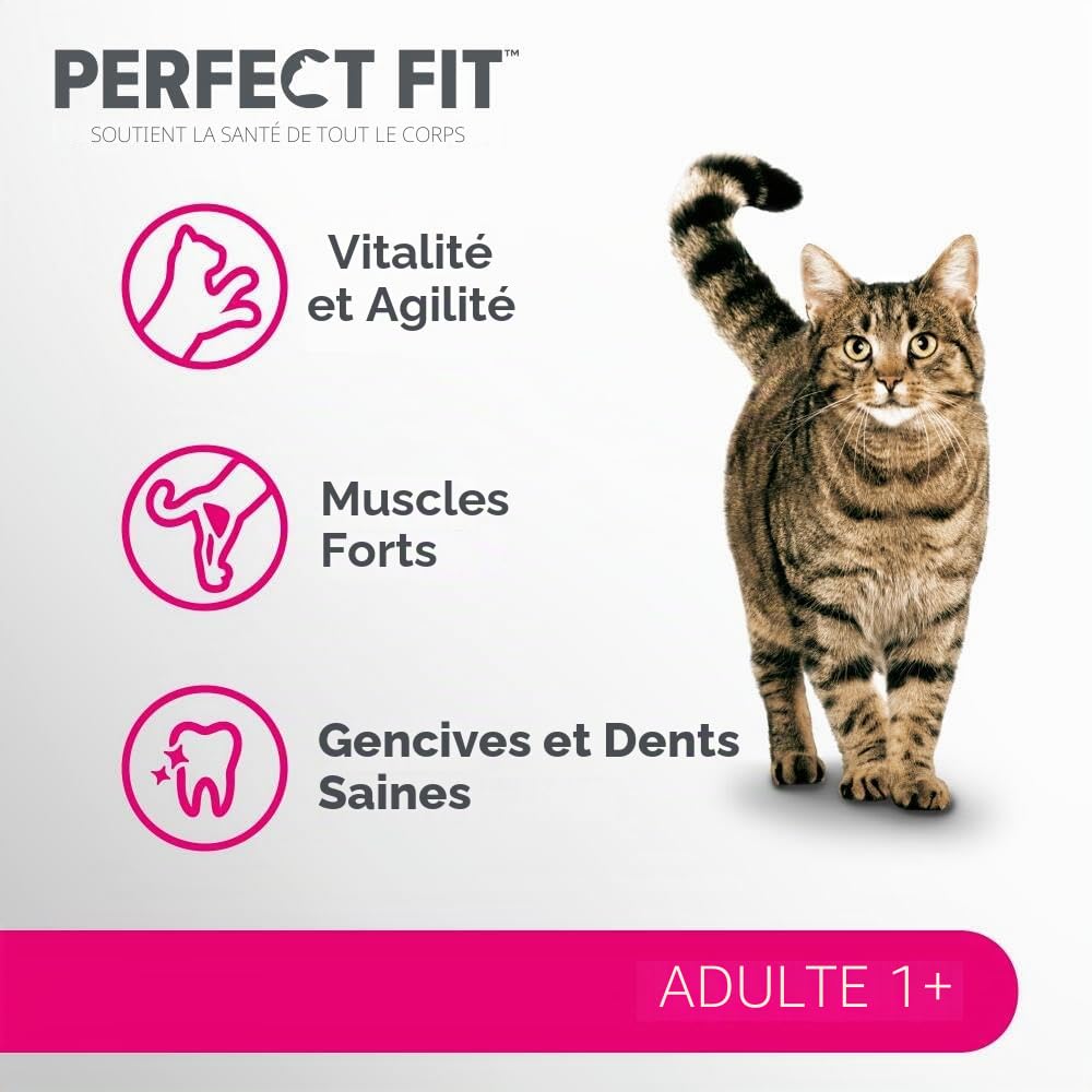 Adult 1+ Croquettes pour Chat 7 kg Poulet