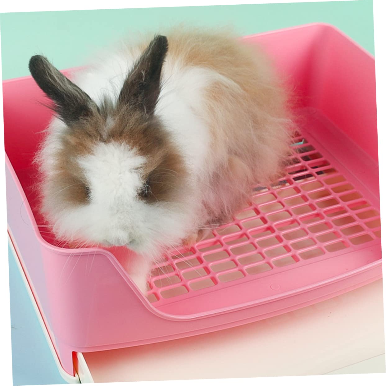 Toilette per Coniglio Cassetto, Plastica Rosa, Antiodore | Lettiera per Coniglio Nano, a Perdite, per Coniglio e Criceto, Uso in Salotti e Parchi