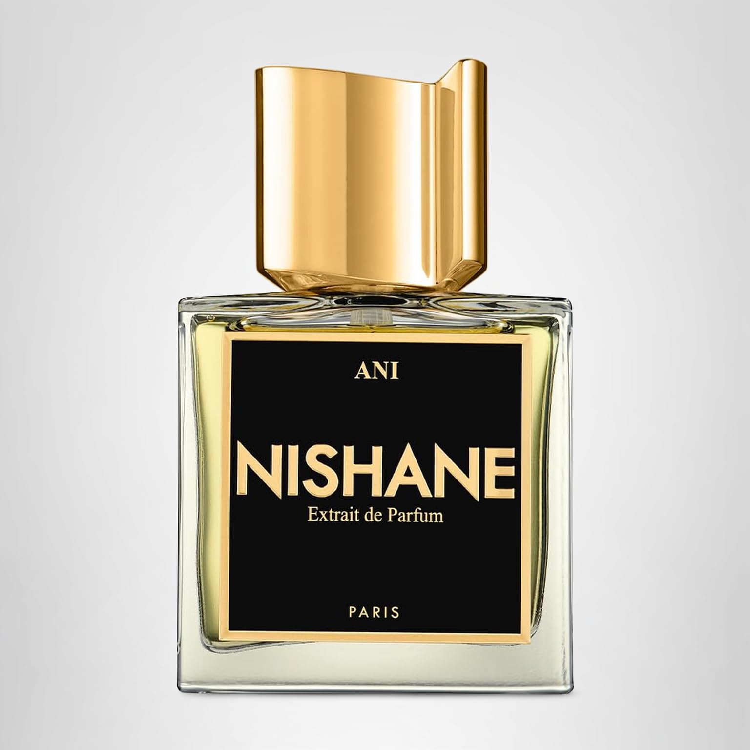 新品正規品　Nishane アニ　100ml Amazon.com : Nishane Ani : Beauty & Personal Care