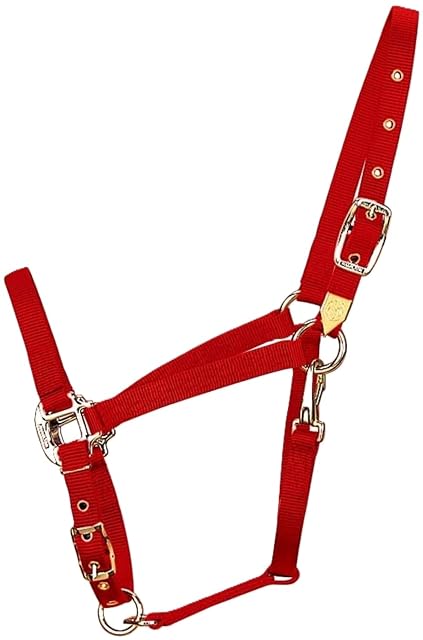 Hamilton 3/4-inch Nylon Caballo árabe Cabestro con Barbilla Ajustable y Garganta Snap