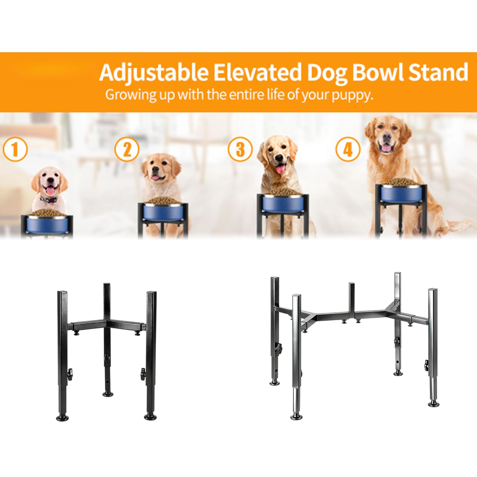Support stable en fer avec pieds réglables et design antidérapant pour assurer la position d'alimentation pour chien Support en acier carbone Gamelle pour chien