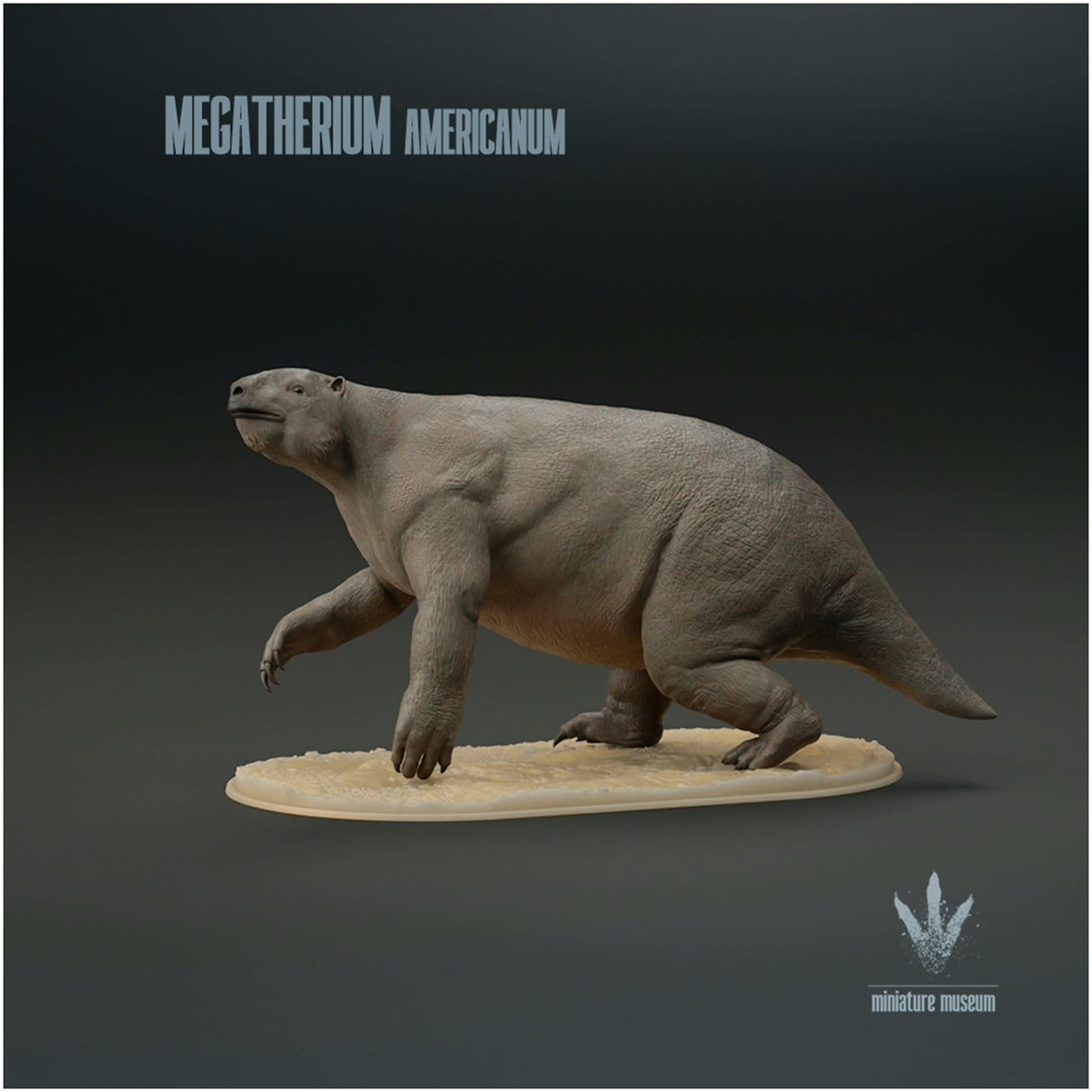 木彫　絶滅哺乳類　アルケオテリウム　頭骨模型　1/5スケール 木彫 絶滅哺乳類 アルケオテリウム 頭骨模型 1/5スケール - メルカリ