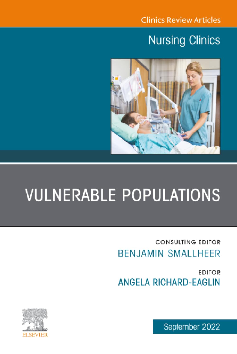 Vulnerable Populations, An Issue of Nursing Clinics: Volume 57-3 (The Clinics: Internal Medicine, Volume 57-3)