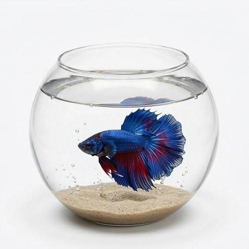 7pets Transparent 8-inch Fish Bowl with Out Neck Collar, Suitable for Small Fish, Plants | Optimum Fish Tank Choice for Office & Home Decor