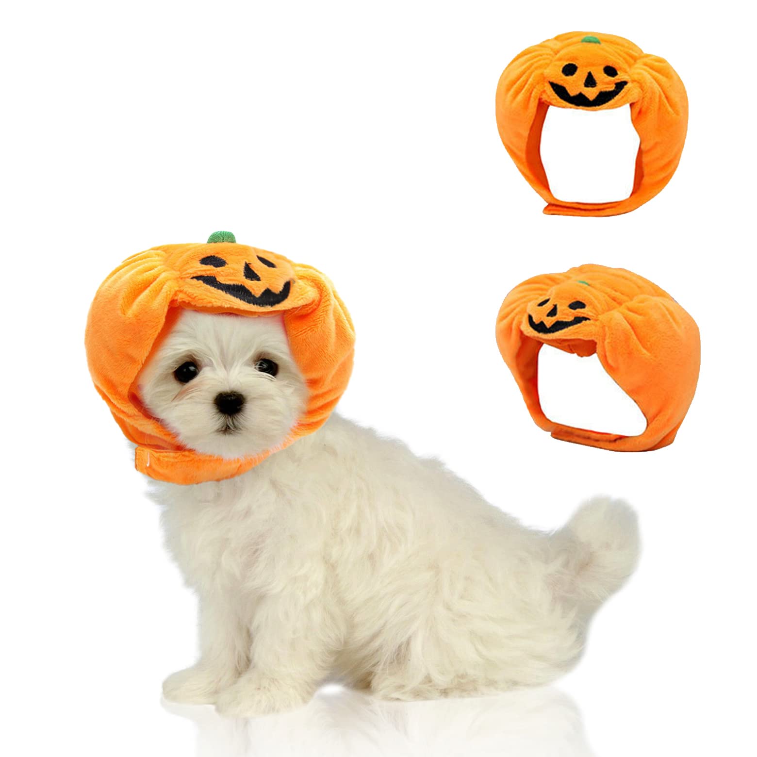 Maltese Halloween Costume ubicaciondepersonas.cdmx.gob.mx