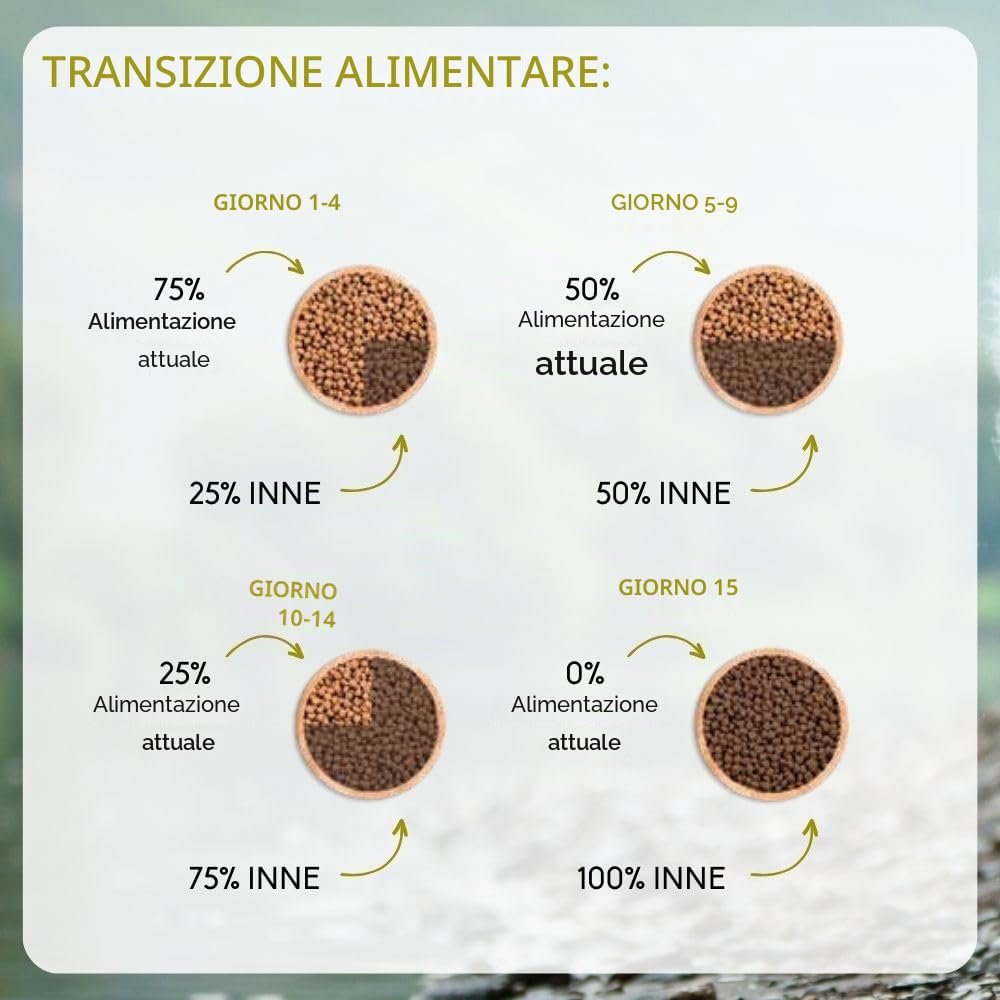 NUTRIVET - INNE CHIEN BALANCE - Crocchette senza cereali - Cane adulto sterilizzato o sovrappeso - Pollame - 80% ingredienti di origine animale - 12 kg