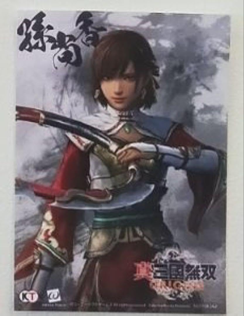 趙雲 ハンカチ10枚セット 真・三國無双 ORIGINS 楽天ブックス特典 楽天ブックス: 【楽天ブックス限定特典+特典】真・三國無双