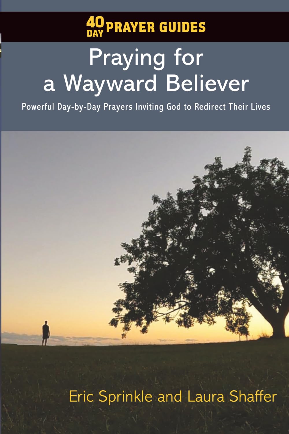 40 Day Prayer Guides - Praying for a Wayward Believer: Powerful Day-by-Day Prayers Inviting God to Redirect Their Lives: Powerful day-by-day Prayers Inviting God to Bless and Direct Their Lives