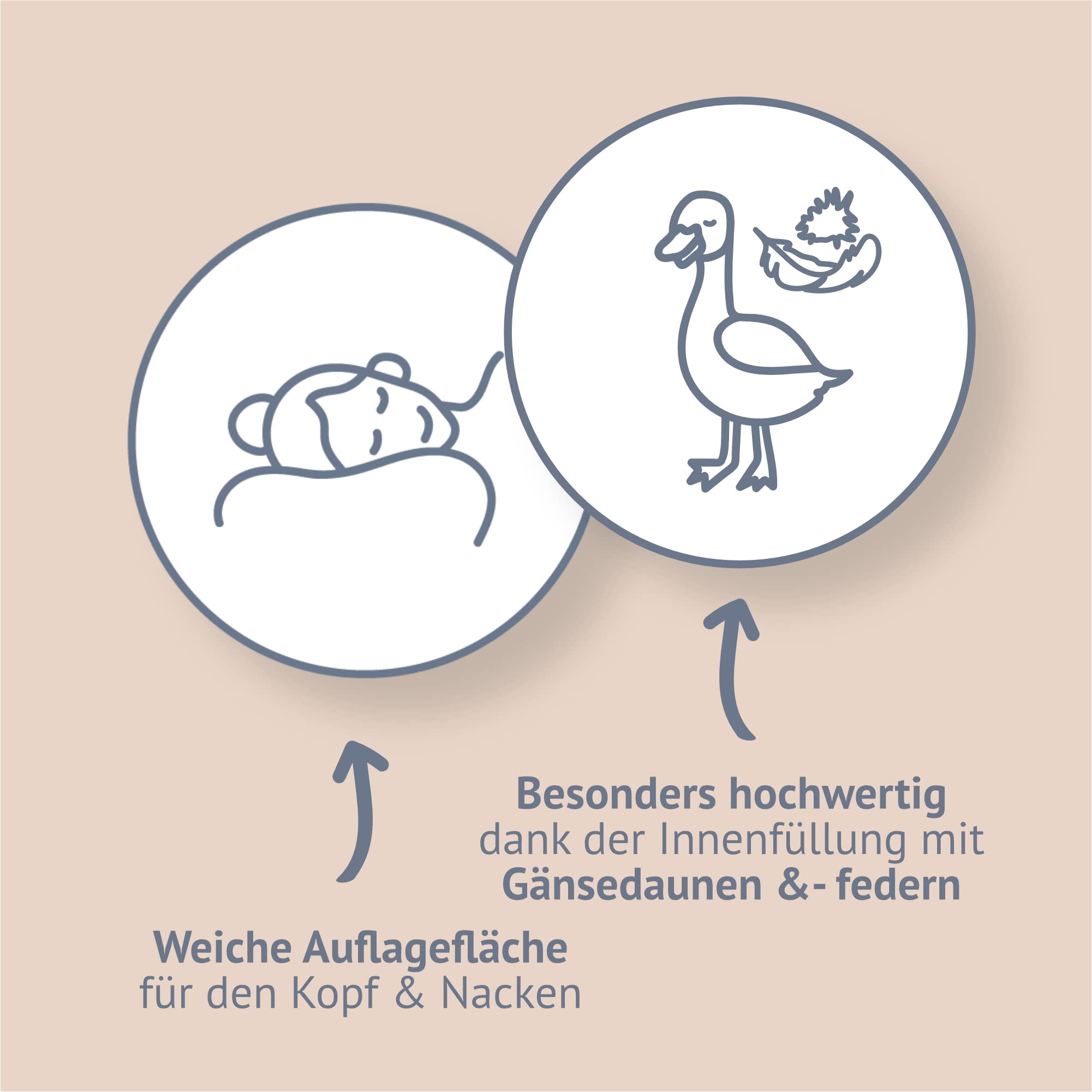 moe Natural Goose Dream Federn- und Daunenkissen 40x80 cm - Kopfkissen Gänse, Kissen, Made in Germany, 90% Gänsedaunen, auch für Allergiker geeignet, 100% Baumwolle, 550 g Füllmenge
