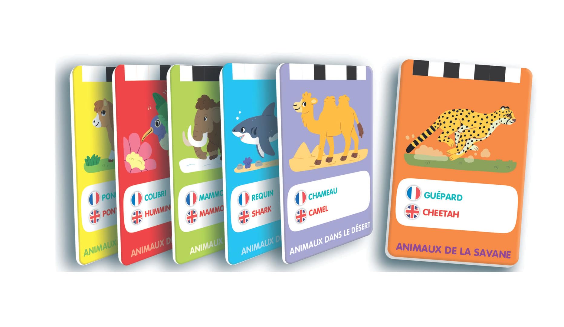 Clementoni - Knife 100 Premiers Mots Bilingues Les Animaux – 2-4 Ans – Jeu éducatif Enfant français Anglais avec Cartes interactives et Lecteur