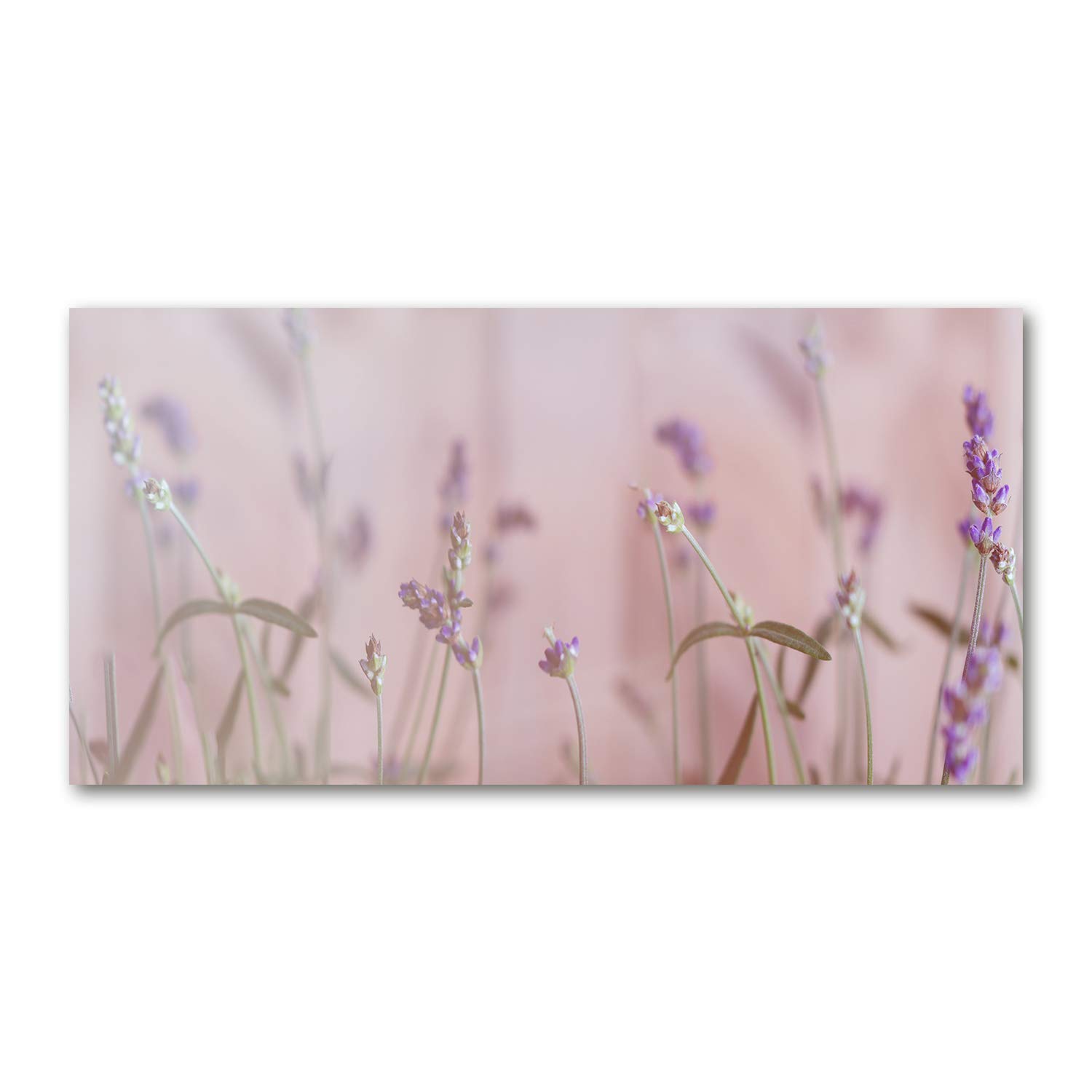 Image en verre plastique 120x60cm beige Tulup Lavanda pour salon