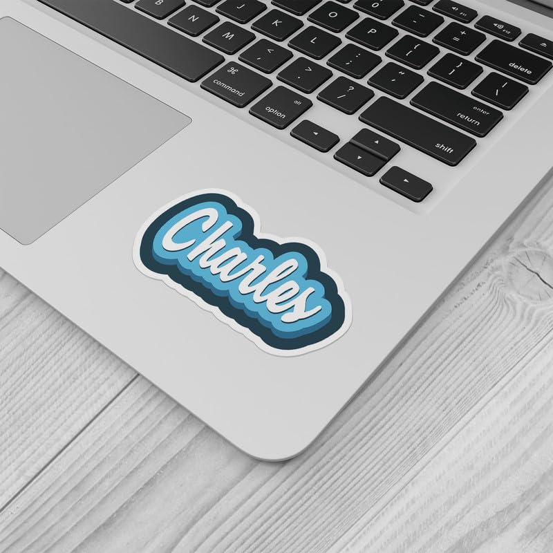 Ray Charles Music Legend Sticker - Black Vinyl Decal For Cars & Laptops