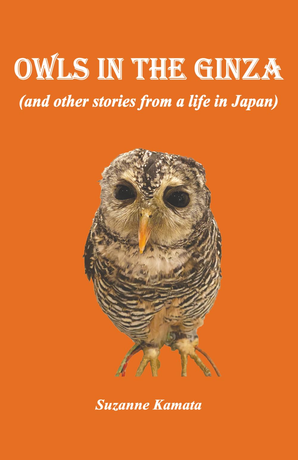 Owls in the Ginza: (and other stories from a life in Japan)