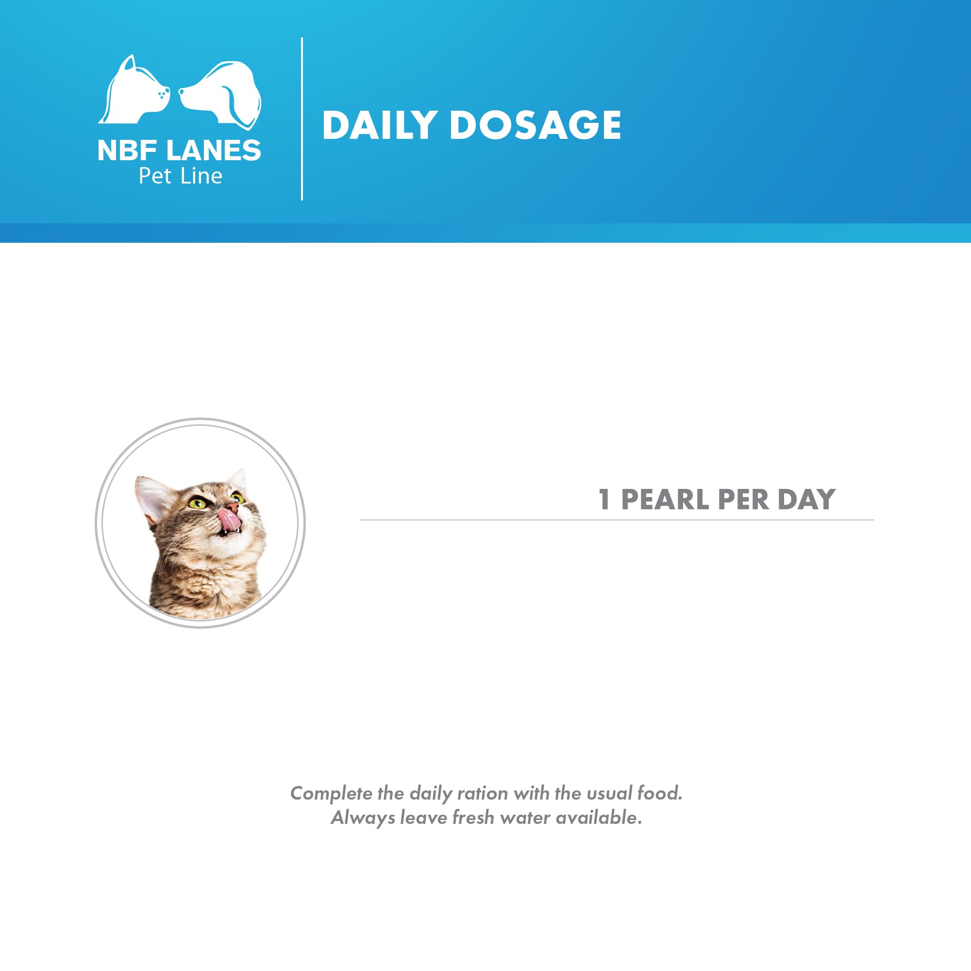NBF Lanes | Nefrokrill Gato, 60 perlas Softgel, apoyo a la función renal en caso de insuficiencia renal crónica, para gatos adultos y mayores